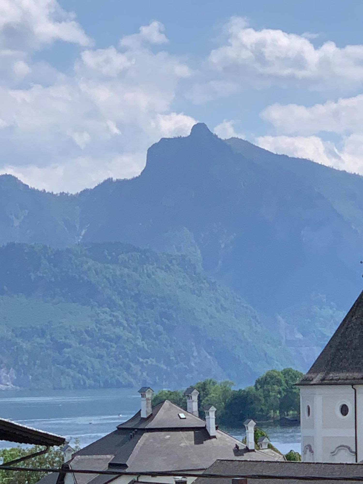 Traum Panorama Apartment Mit Berg & Seeblick Altmünster Exteriör bild